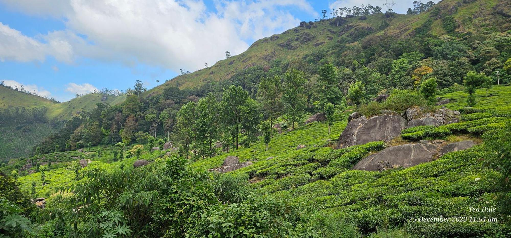 Tea Dale - All Rooms With Tea Estate View Munnar Exteriér fotografie