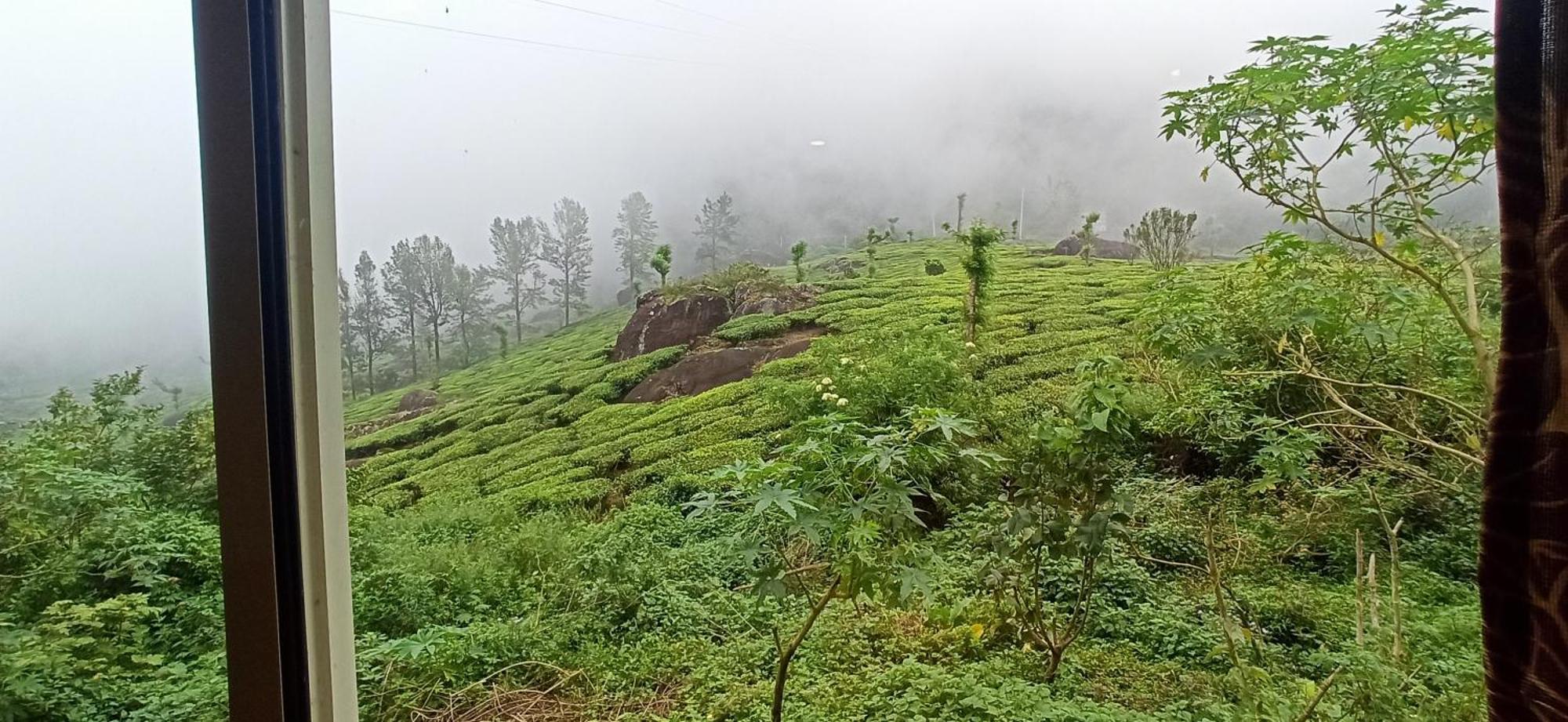 Tea Dale - All Rooms With Tea Estate View Munnar Exteriér fotografie