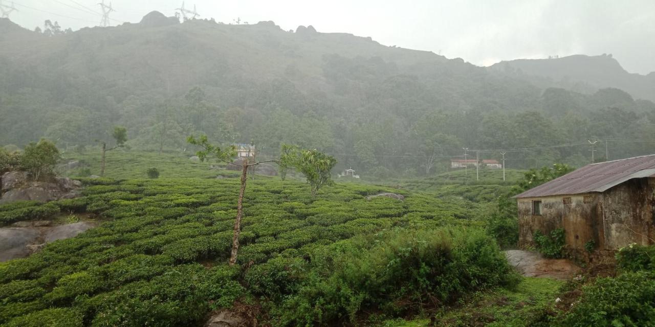 Tea Dale - All Rooms With Tea Estate View Munnar Exteriér fotografie