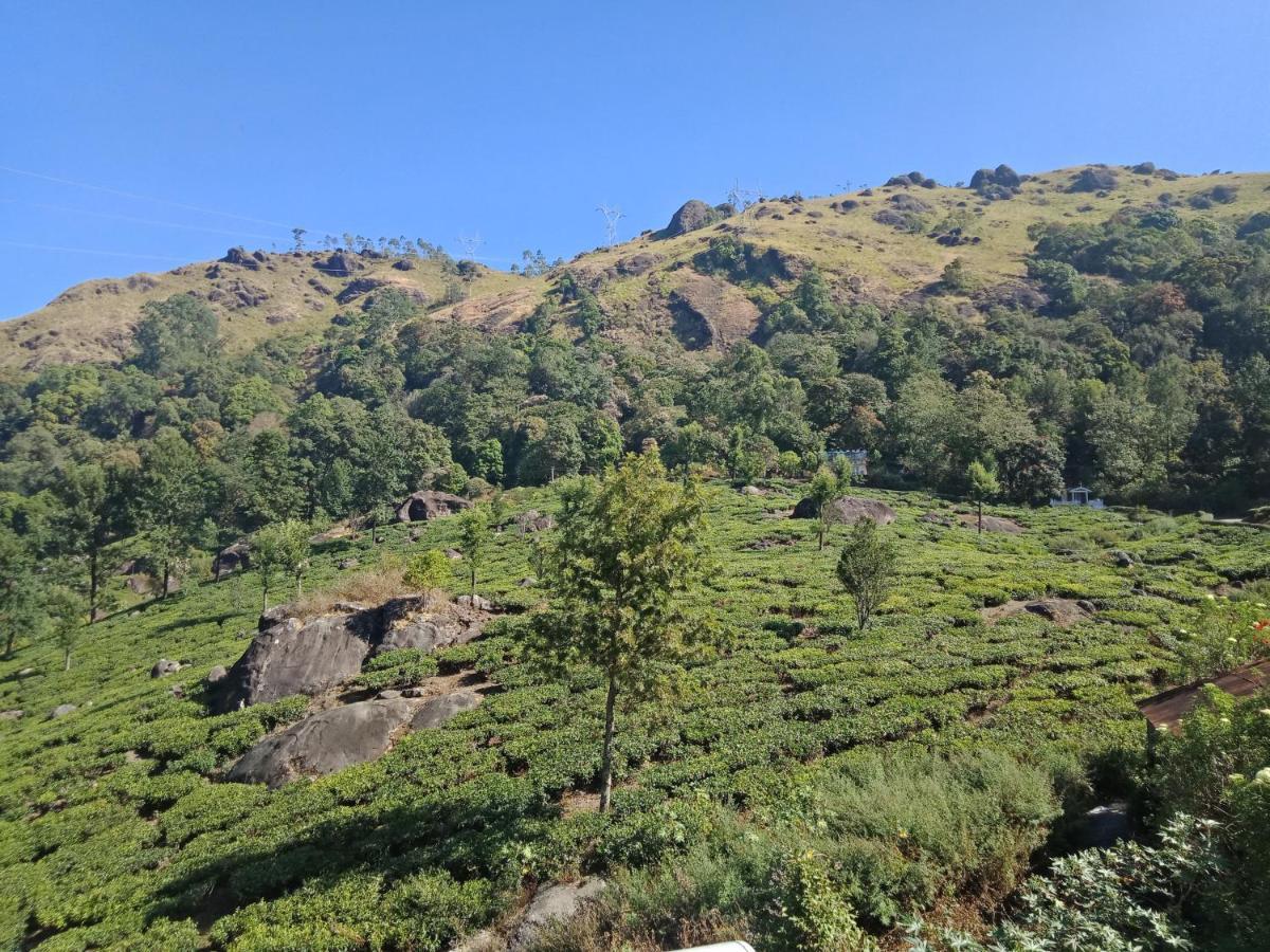 Tea Dale - All Rooms With Tea Estate View Munnar Exteriér fotografie