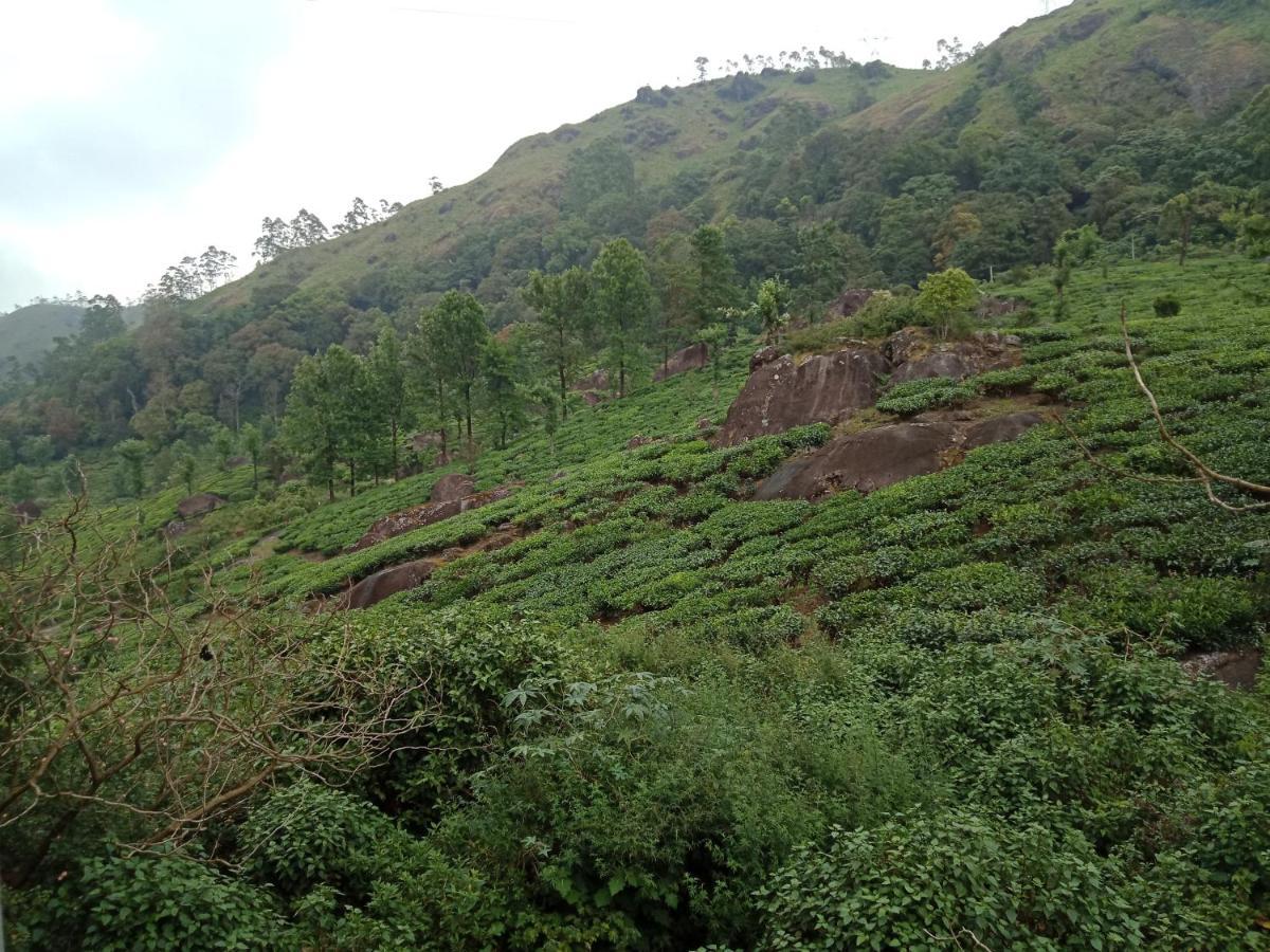 Tea Dale - All Rooms With Tea Estate View Munnar Exteriér fotografie