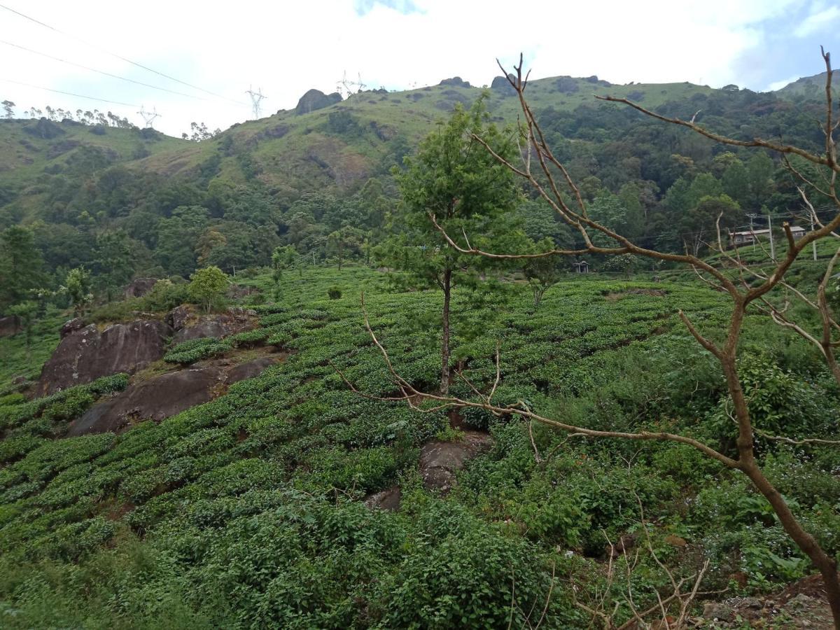 Tea Dale - All Rooms With Tea Estate View Munnar Exteriér fotografie
